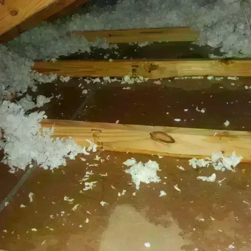 Attic Water Damage in Seminole County, GA