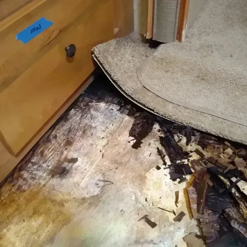 Wood Floor Water Damage in Seminole County, GA